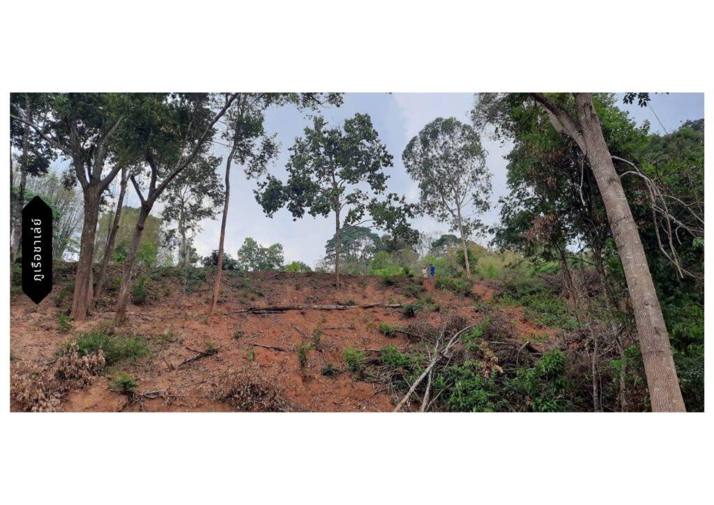 ขายที่ดินภูเรือ โฉนดครุฑแดง ติดลำธาร วิวเขา และ ใกล้แหล่งท่องเที่ยว วัดป่าห้วยลาด อุทยานแห่งชาติภูเรือ จังหวัดเลย